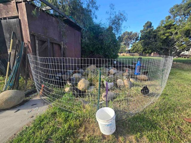 2205 Leon Avenue, San Diego, CA 92154