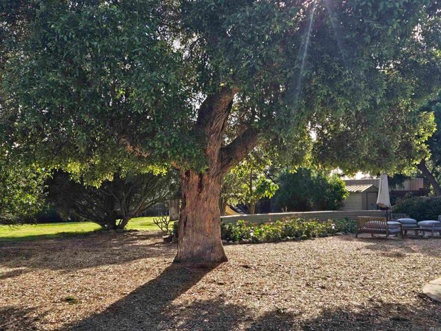 2205 Leon Avenue, San Diego, CA 92154