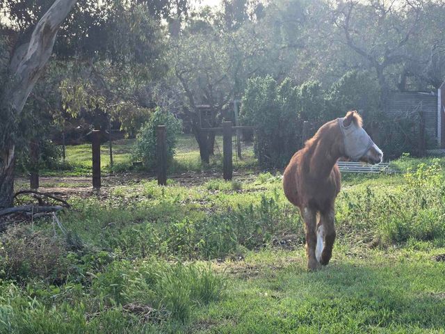 2205 Leon Avenue, San Diego, CA 92154