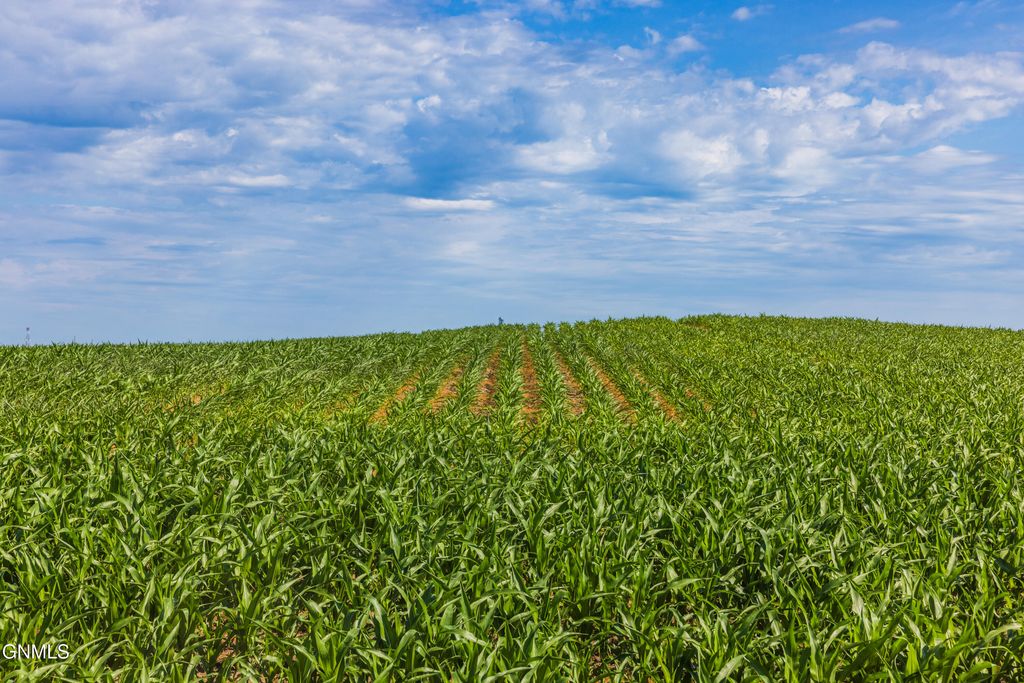 Tbd Hwy 32, Enderlin, ND 58027 photo 15