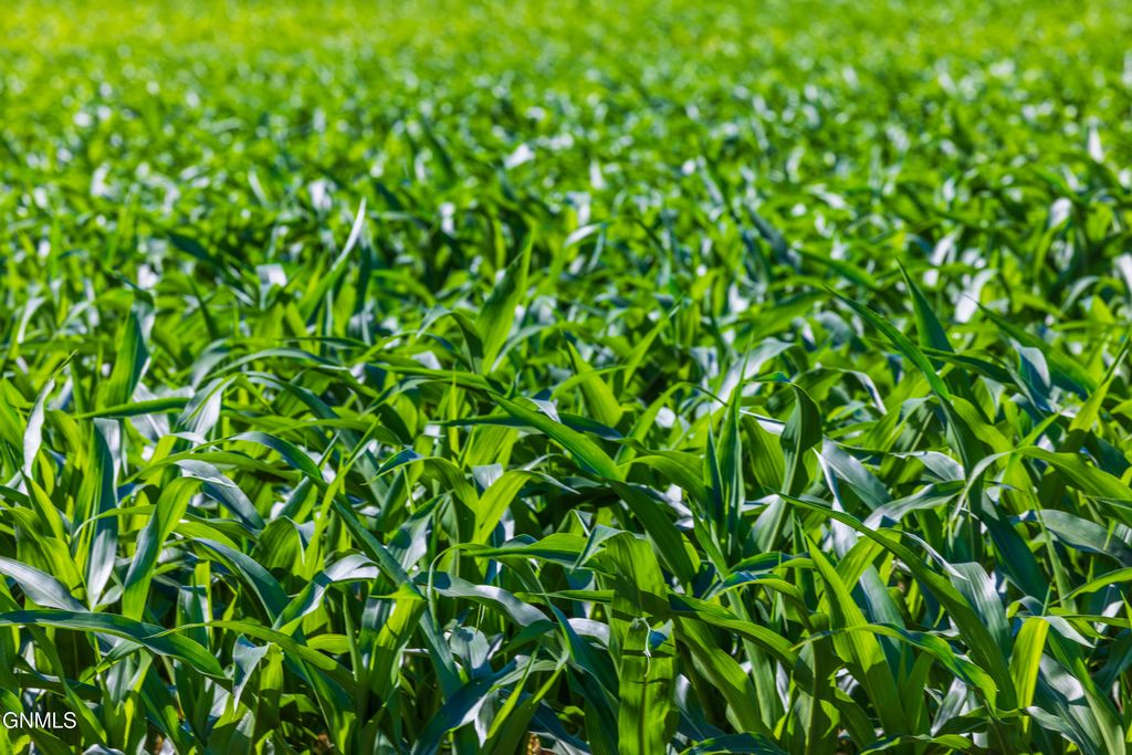 Tbd Hwy 32, Enderlin, ND 58027 photo 19