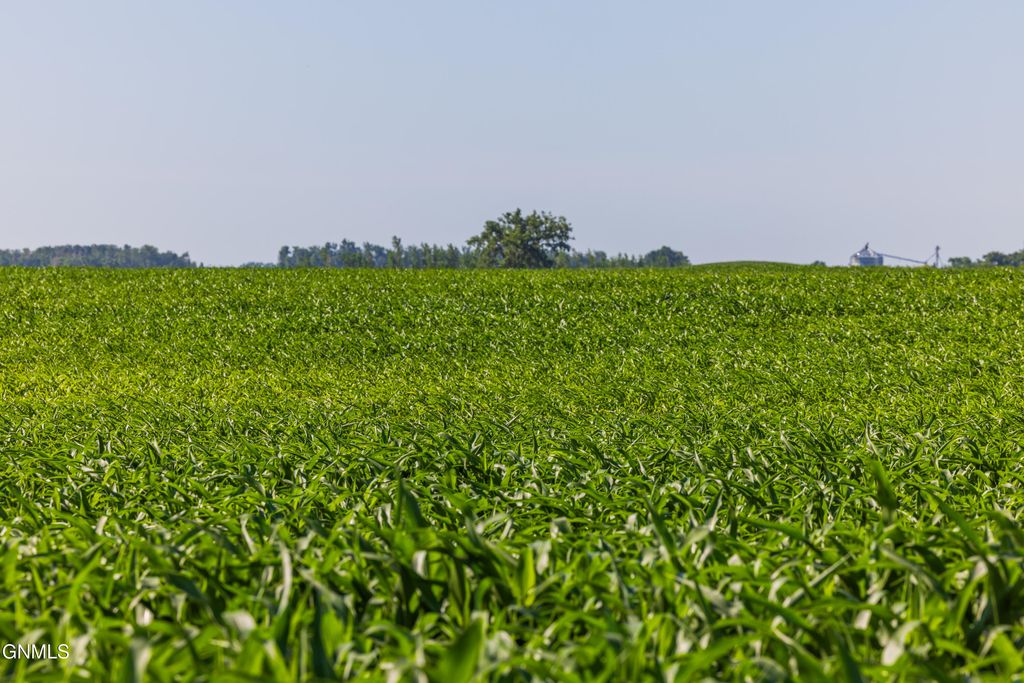 Tbd Hwy 32, Enderlin, ND 58027 photo 20