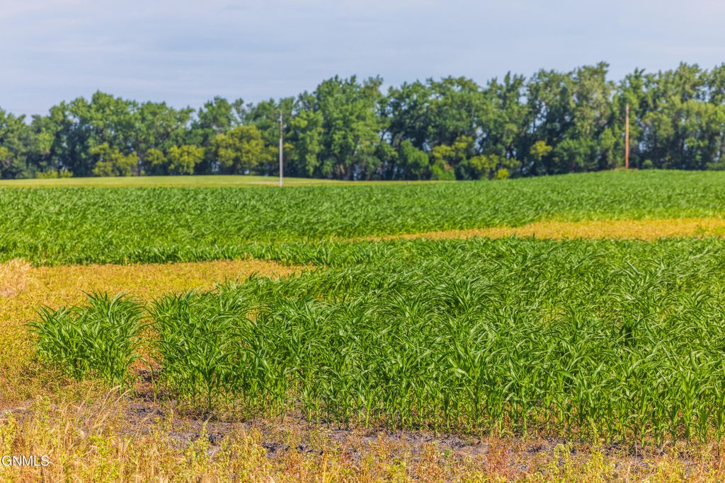 Tbd Hwy 32, Enderlin, ND 58027 photo 24