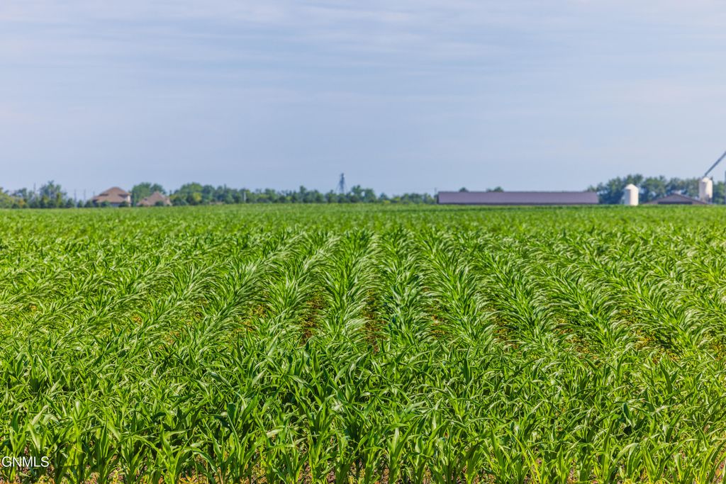 Tbd Hwy 32, Enderlin, ND 58027 photo 25