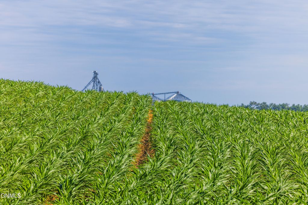 Tbd Hwy 32, Enderlin, ND 58027 photo 26