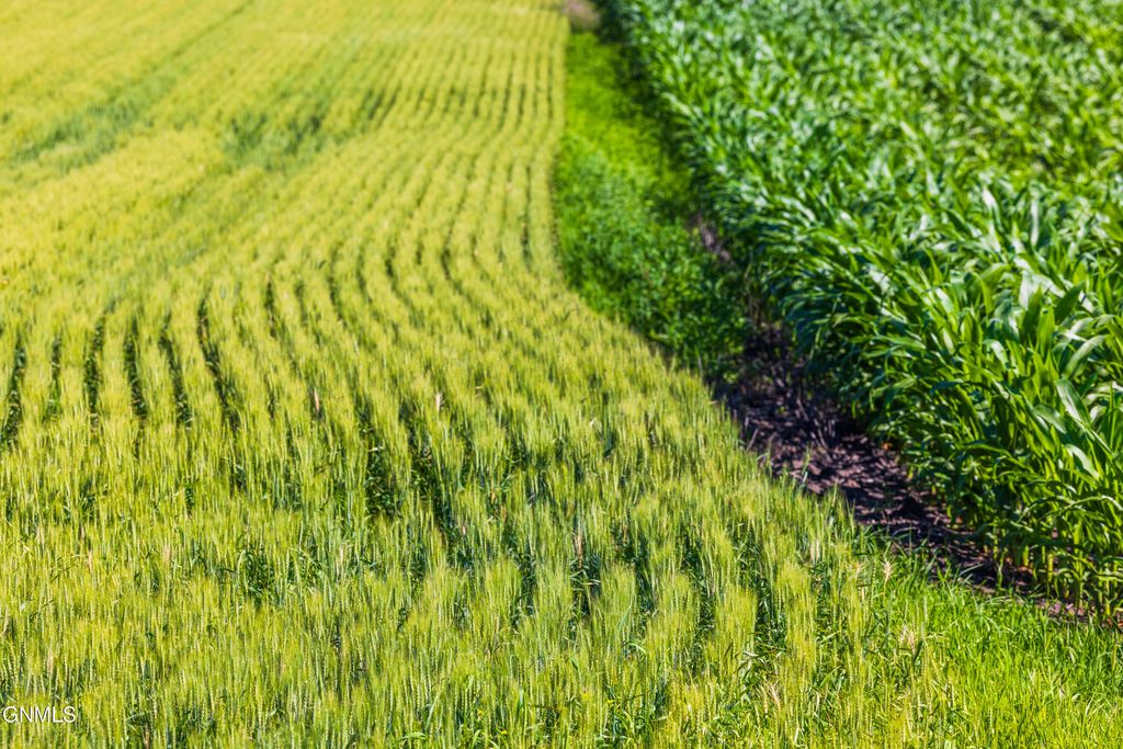 Tbd Hwy 32, Enderlin, ND 58027 photo 36