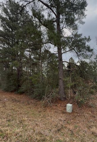 24159 Weeren Road, Montgomery, TX 77316