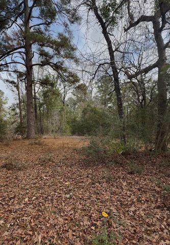 24159 Weeren Road, Montgomery, TX 77316