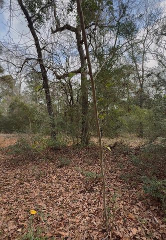 24159 Weeren Road, Montgomery, TX 77316