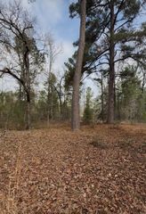 24159 Weeren Road, Montgomery, TX 77316