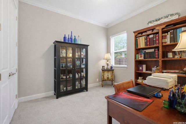 22815 Grande Vista, San Antonio, TX 78261