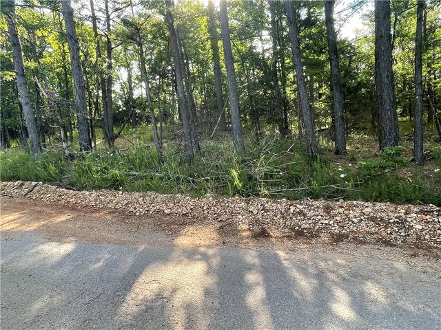 TBD County Road 155, Eureka Springs, AR 72632