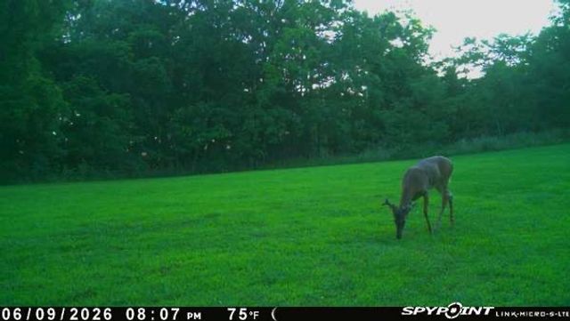 TBD County Road 155, Eureka Springs, AR 72632