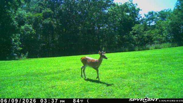 TBD County Road 155, Eureka Springs, AR 72632