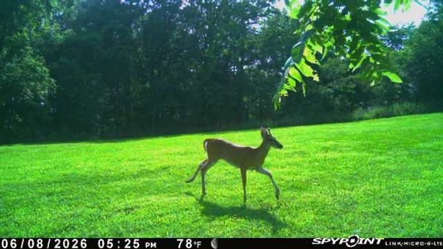 TBD County Road 155, Eureka Springs, AR 72632