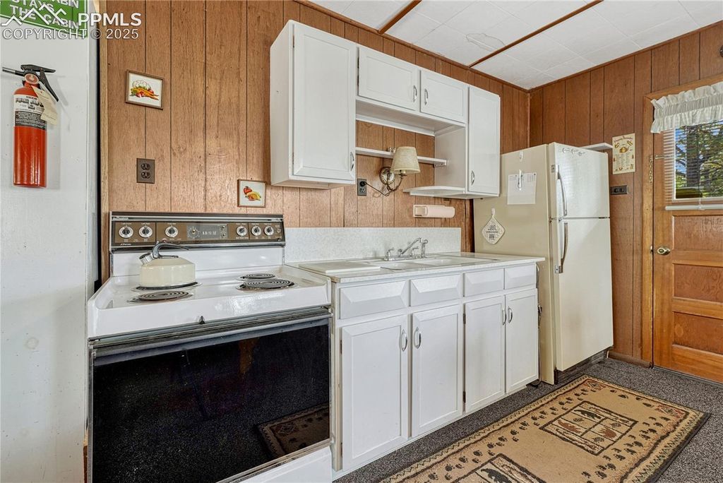 101 Dunlap Drive, Florissant, CO 80816 — photo 2