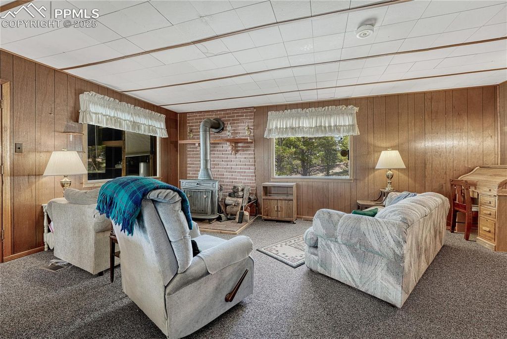 101 Dunlap Drive, Florissant, CO 80816 — photo 4
