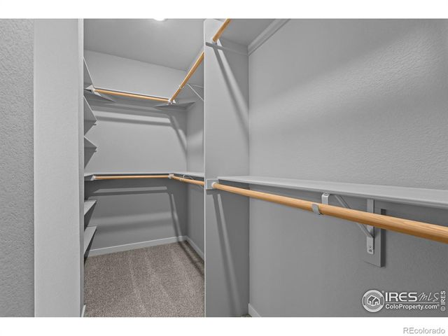 2769 Blue Iris Drive, Loveland, CO 80538