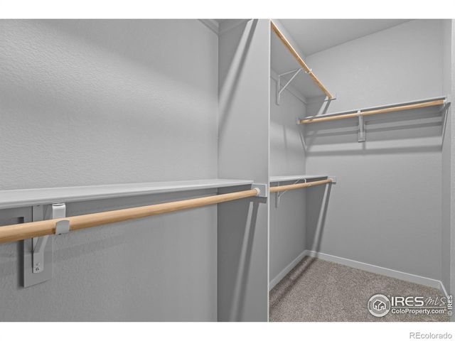 2769 Blue Iris Drive, Loveland, CO 80538