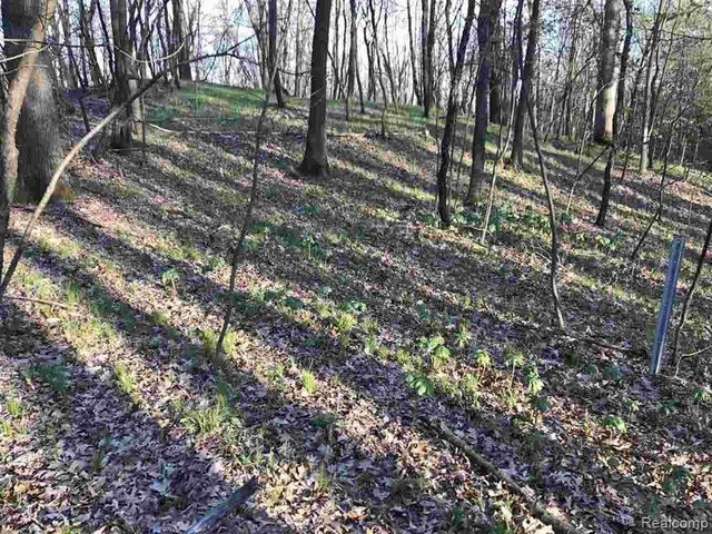 0000 Silverbell, Rochester, MI 48306
