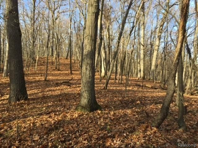 0000 Silverbell, Rochester, MI 48306