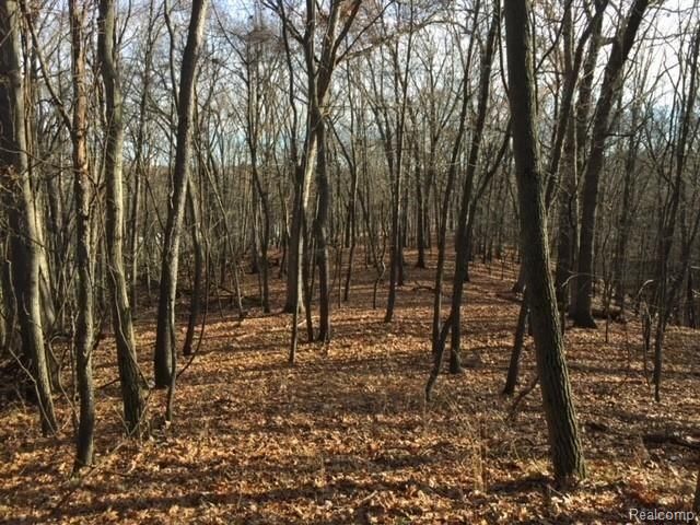 0000 Silverbell, Rochester, MI 48306