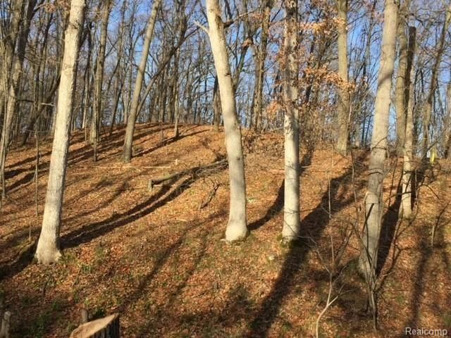 0000 Silverbell, Rochester, MI 48306