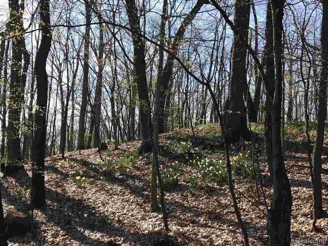 0000 Silverbell, Rochester, MI 48306