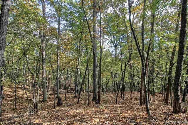 0000 Silverbell, Rochester, MI 48306