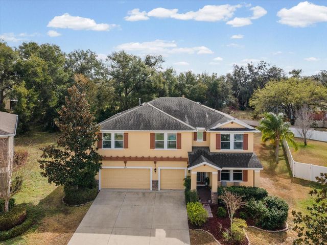 2214 VALTERRA VISTA WAY, Valrico, FL 33594