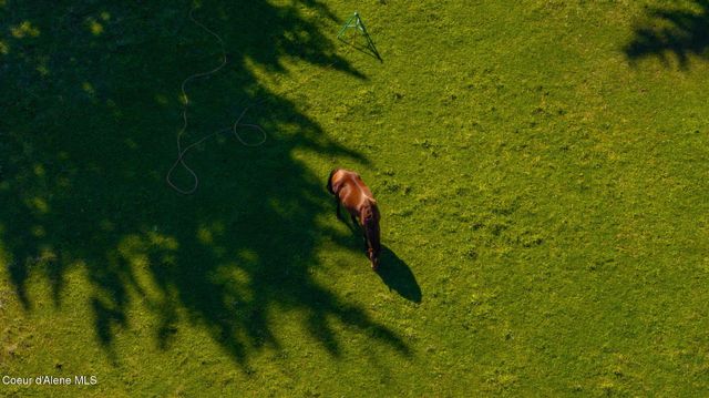 2229 N SOCKEYE DR, Post Falls, ID 83854