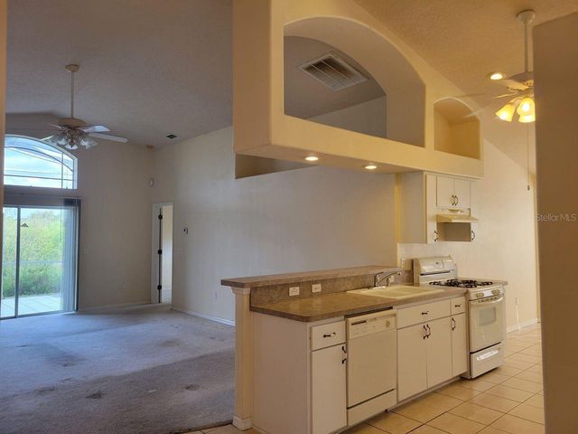 1314 AVONWOOD COURT, Lutz, FL 33559