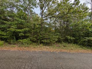 000 North Lot 296 Millstone Street, Shell Knob, MO 65747