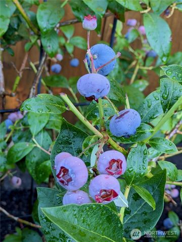 43715 SE 150th Street, North Bend, WA 98045