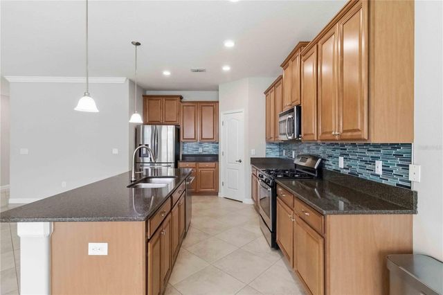 1001 OLIVETO VERDI COURT, Brandon, FL 33511