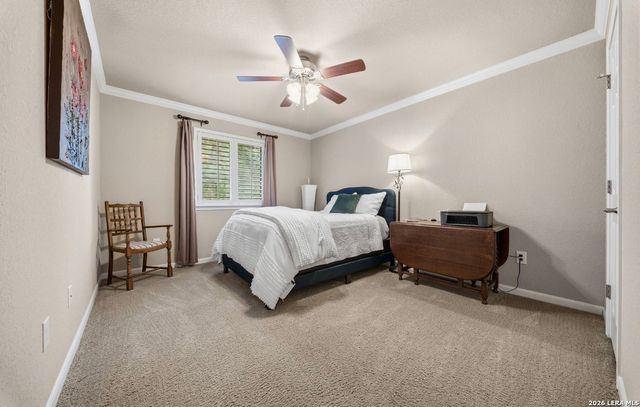 23555 Fairway, San Antonio, TX 78258