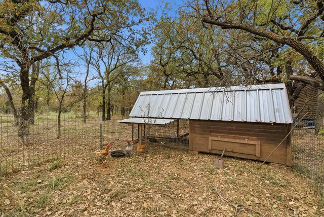 456 Prickly Pear Trail, Gordon, TX 76453
