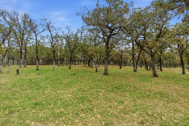 456 Prickly Pear Trail, Gordon, TX 76453