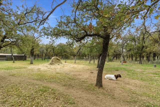 456 Prickly Pear Trail, Gordon, TX 76453