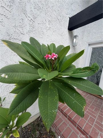 17069 Gledhill Street, Northridge, CA 91325
