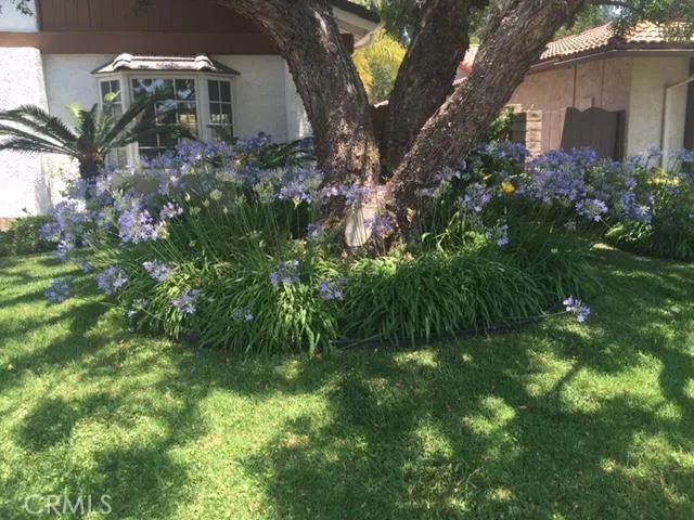 17069 Gledhill Street, Northridge, CA 91325