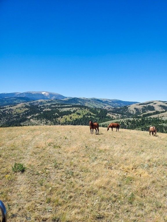 TBD Upper Deep Creek, Townsend, MT 59644 photo 12