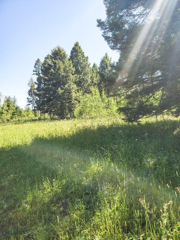 TBD Upper Deep Creek, Townsend, MT 59644 photo 19