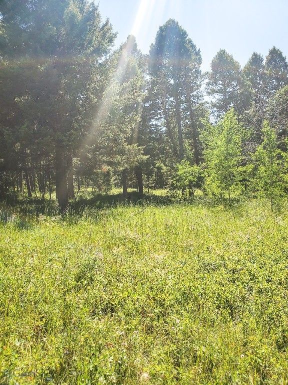 TBD Upper Deep Creek, Townsend, MT 59644 photo 20