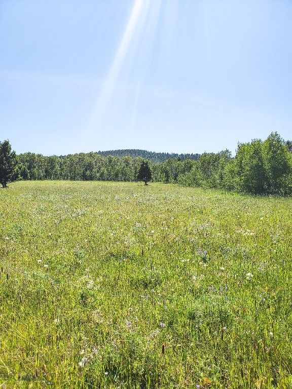 TBD Upper Deep Creek, Townsend, MT 59644 photo 21