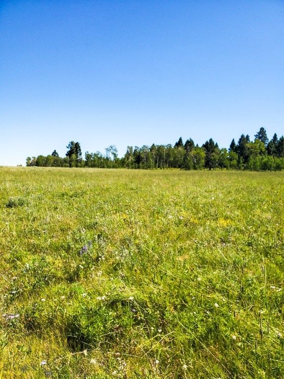 TBD Upper Deep Creek, Townsend, MT 59644 photo 22