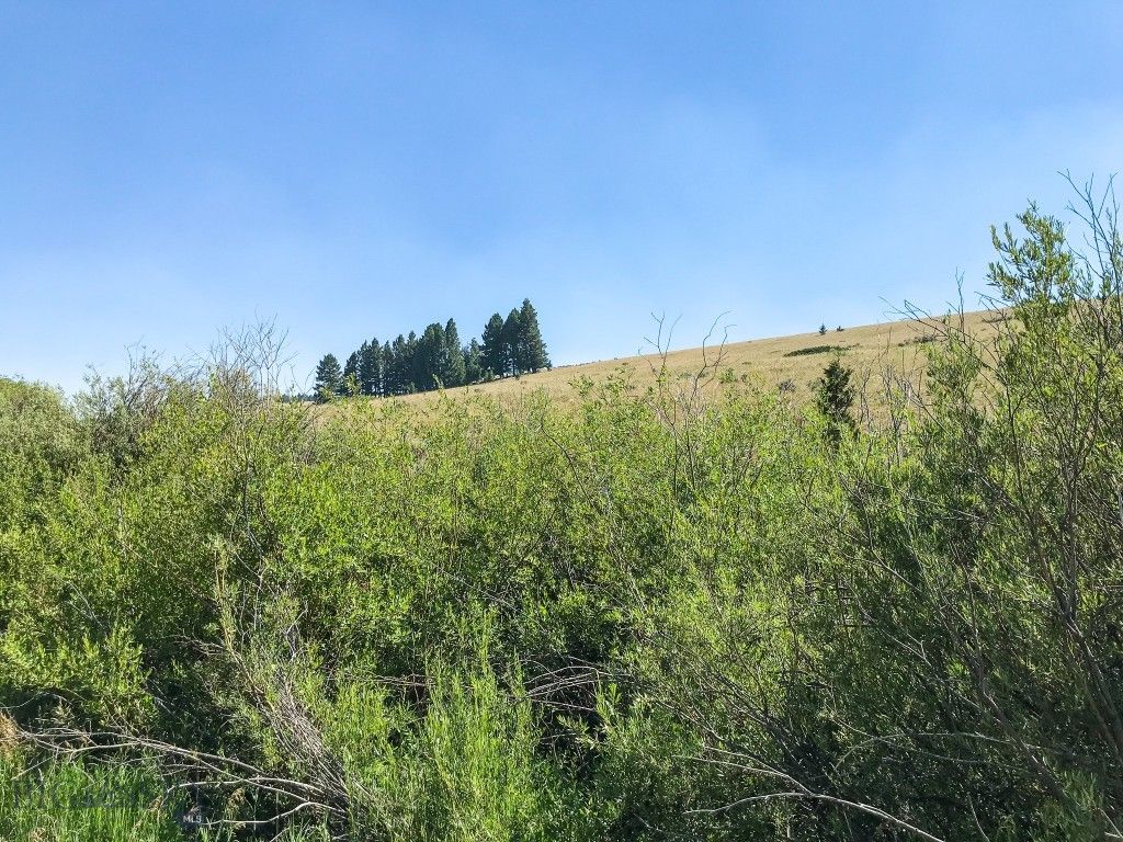 TBD Upper Deep Creek, Townsend, MT 59644 photo 3