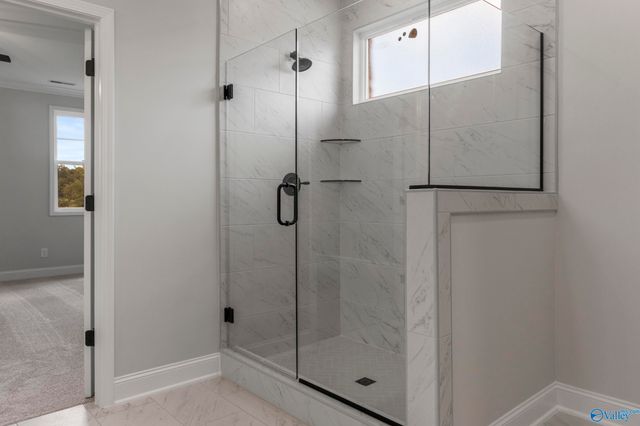 208 M.B. Ayers Way, New Market, AL 35761