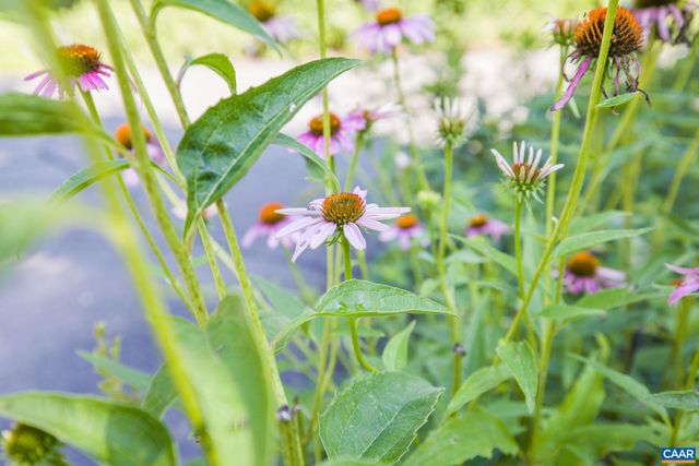 2420 PENDOWER LN, Keswick, VA 22947