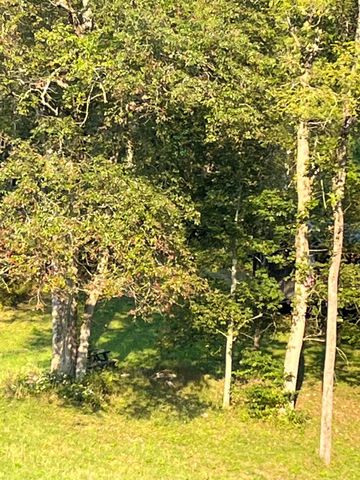 0 Batte Lane, Mt Olivet, KY 41064